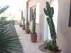 Villa Plage Mirleft