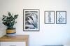 Paladine Place Serviced Apartment Coventry