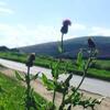 Lettoch Farm Holiday Home