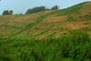 Afan Valley Holiday Home - Mountain Retreat!