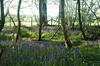 Apartamento Bluebells