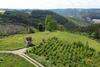 Le Grand Cerf 25 Pers, Malmedy- Chalet Rustique, Jardin