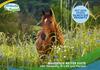 Apartamento Familien-suite-im-wald-am-see