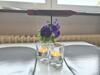 Ferienhaus Vestvind