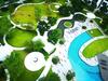 Apartamento Yolo Budget Condo Premium Facilities