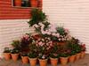 Villa Astha Homestay - Feeling Homely