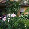 Hostal Landhaus Grete