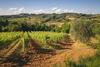 Agroturismo Il Boschetto