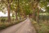 Agroturismo Il Boschetto