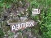 Agroturismo Agriturismo Madonna Dei Ceppi