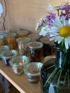 Hostal Pension Hinterseer