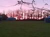 Hawthorn Yurt Award Winning Wych Elm Glamping