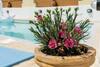 Lovely Renovated Villa With Pool, Up To 9 Persons