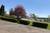 Deepwell Motel