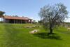 Agroturismo Agriturismo Colle Oliveto