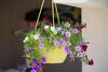 Hostal Vienna Story Guesthouse