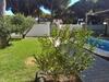 Pinar Del Ed�n Lm