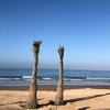 Apartamento Taghazout Bay Tamraght Appartement