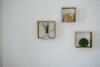 Apartamento Auszeit Neusiedlersee Top 1