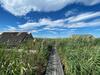 Pfahlbau Seeh�tte Am Neusiedlersee - Waterfront 2