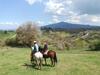 Agroturismo Podere Santa Luisa