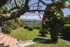 Apartamento Agriturismo La Valle Degli Ulivi