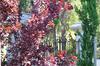 Bed & Breakfast Le Mas Du Perthus