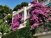 Apartment Luka Sodan -villa Bose