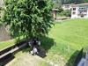 Hostal Ubilla Aterpetxea