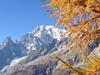 Chalet Val Ferret Courmayeur Mont Blanc Exclusive