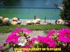 Apartman Srdce Slovenska