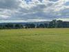 Vale View Glamping