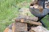 Poppy Wooden Glamping Pod