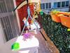 Hostal Altea Royale