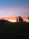 Bed & Breakfast Au Parc Aux Li�vres