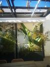 Apartamento Duplex Luxury Giralda With Terrace