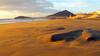 Apartamento El Olivo House C