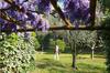 Bed & Breakfast Le� Souco
