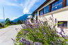 Hotel Berggasthof Panorama