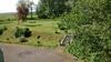 Bed And Breakfast Allt Y Rheini