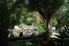 Apartamentos Finca Wapa
