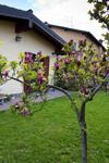 Bed & Breakfast Il Sole Del Borgo