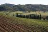 Hostal Herdade Do Sobroso Country House
