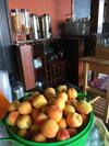 Hostal Agriturismo Ruralia