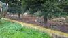 B&B La Vigna