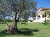 Hostal Agriturismo La Tavernetta