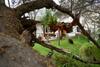 Hostal Rochabus