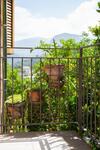 Bed & Breakfast L' Arancio In Fiore