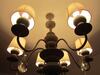 Agroturismo Willaria Country House