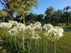 Agroturismo Willaria Country House